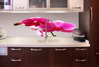 Fototapeta zástena - Ružový kvet orchidey 3146